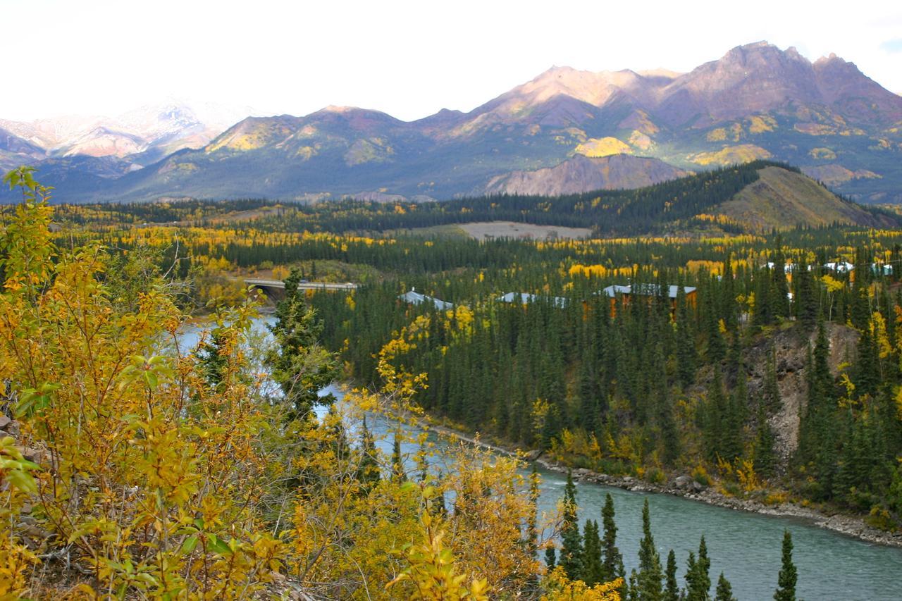 Denali Grizzly Bear Resort Denali Park Exterior foto